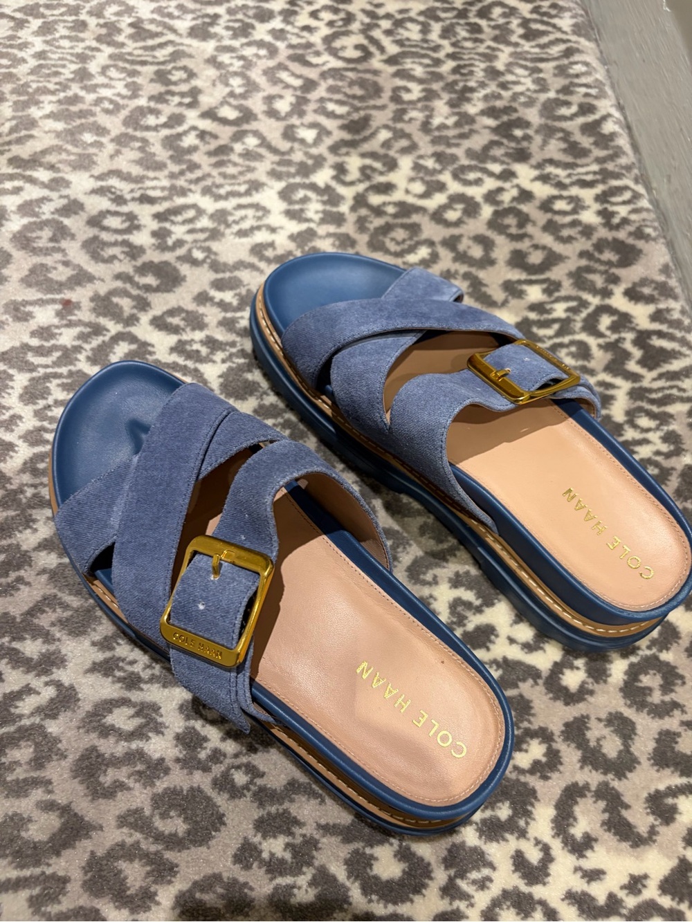 Cole Haan Denim Blue Buckle Slide Sandal